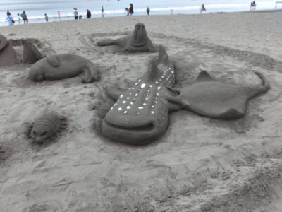 o3264244815119581920 400x300 - 5月18日（水）☆toiro金沢文庫19☆