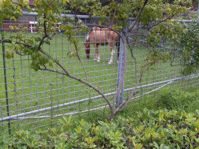 ☆2022.8.20 toiro新吉田☆ o0810108015163228618 1 400x300 - ☆2022.8.20 toiro新吉田☆