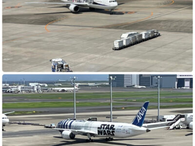 8月5日(金) toiro白楽 o1080144015156251494 400x300 - 8月5日(金) toiro白楽