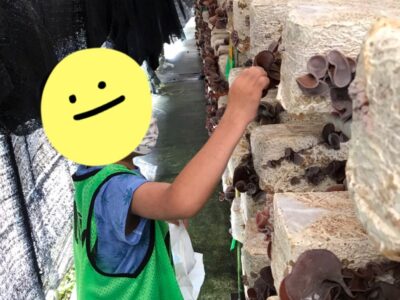 ☆8月24日 toiro根岸☆キノコ狩り! o1915255315165120483 400x300 - ☆8月24日 toiro根岸☆キノコ狩り!