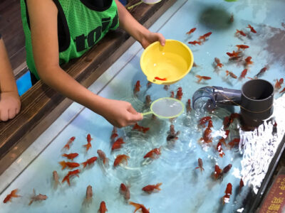 o1915255315166866683 400x300 - 8月21日　☆toiro南林間☆