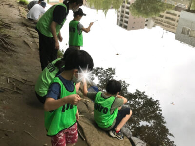 toiro都筑ふれあいの丘★ザリガニ釣り★ o1917255615157389518 400x300 - toiro都筑ふれあいの丘★ザリガニ釣り★