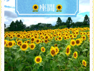 ひまわり畑toiro仲町台 o3026401915159527487 400x300 - ひまわり畑toiro仲町台