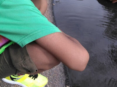 ♫9月14日toiro鴨居♫ o0420056015174509715 400x300 - ♫9月14日toiro鴨居♫