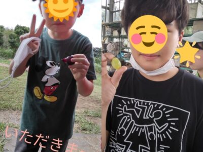 ♪9月17日(土)♪toiro戸塚 o1080108015177247659 400x300 - ♪9月17日(土)♪toiro戸塚
