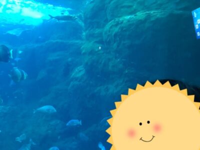 ♡9月25日 toiro藤沢第二教室 新江ノ島水族館へ行こう♡ o1080144015180202099 400x300 - ♡9月25日 toiro藤沢第二教室 新江ノ島水族館へ行こう♡