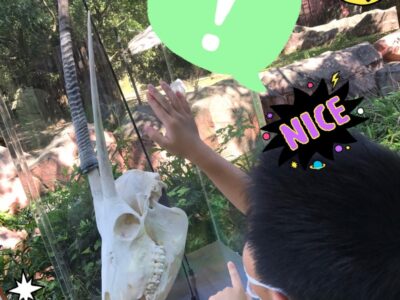 9月21日(水) ☆toiro金沢文庫35☆ o1915255315177012217 400x300 - 9月21日(水) ☆toiro金沢文庫35☆