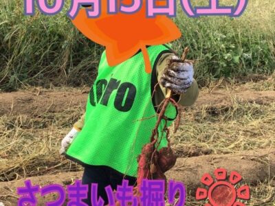 10月15日(土)toiro秦野☆さつまいも掘り体験☆ o0554055415190067013 400x300 - 10月15日(土)toiro秦野☆さつまいも掘り体験☆