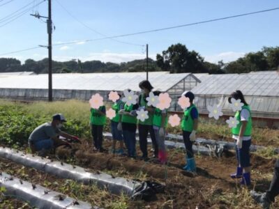 ☆9月25日(日) toiro根岸☆ さつまいも掘り o0960127915181698970 400x300 - ☆9月25日(日) toiro根岸☆ さつまいも掘り