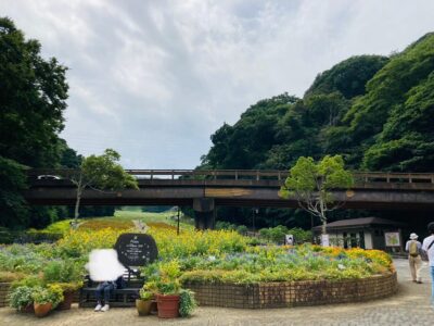 ▼toiro大津 くりはま花の国 o1080080815181760923 400x300 - ▼toiro大津 くりはま花の国