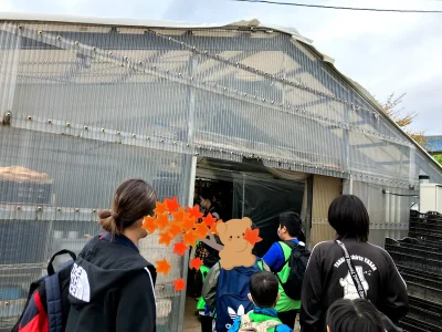 ☆toiro瀬谷☆ 2022/10/25 しいたけ狩り o1080081015193284598 400x300 - ☆toiro瀬谷☆ 2022/10/25 しいたけ狩り