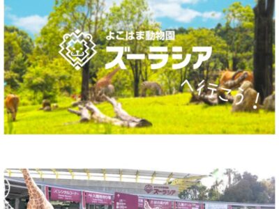10月16日 ◎toiro本郷台◎ o1080144015189600511 400x300 - 10月16日 ◎toiro本郷台◎
