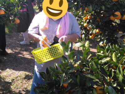 0dd25c0f3a5b5f7a584c300c019da7ac 2 400x300 - ♪11月6日(日)♪toiro戸塚