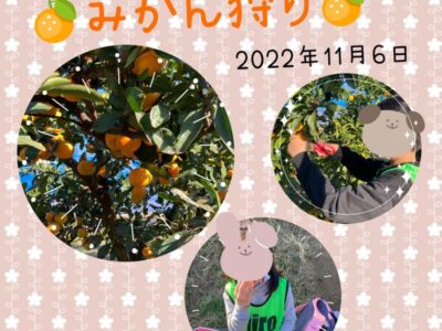 52080f801cf1ef9d10a6e55a36133131 400x300 - ☆11月6日（日）toiro日野☆