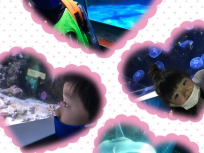 7be33c55c673d9bb20393a3de925b308 400x300 - ★toiro仲町台★八景島シーパラダイスへ行こう！￼