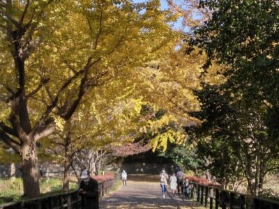 11月21日 紅葉を見に行こう(三ッ池公園) toiro小田栄 93e2dd468506f63fbb1adbf8576ade27 400x300 - 11月21日 紅葉を見に行こう(三ッ池公園) toiro小田栄