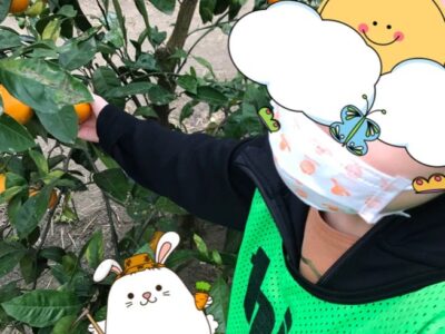 11月13日(日)toiro大津☆みかん狩り a427667cbd64c222709b06ac90e35931 1 400x300 - 11月13日(日)toiro大津☆みかん狩り