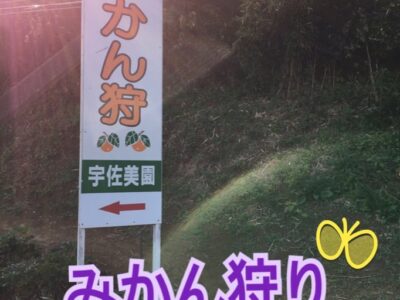 d2e900ea118f73d9b2320e05c26f5b9e 1 400x300 - 11月6日（日）toiro秦野☆みかん狩り☆