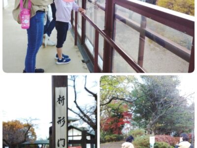 db1ab4d8596f931a7fa333a0990f95d6 3 400x300 - 11月24日(木) 【toiro向ヶ丘遊園】生田緑地