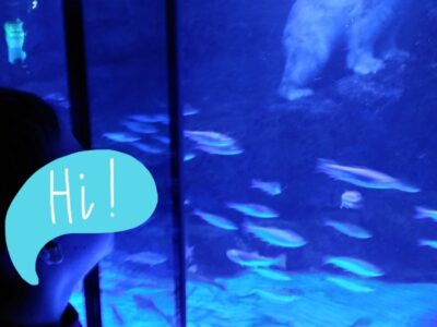 ♪12月17日(土)♪toiro戸塚 0dd25c0f3a5b5f7a584c300c019da7ac 11 400x300 - ♪12月17日(土)♪toiro戸塚