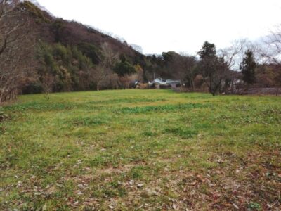 53fbb70fb2525eb326595e70948524a7 2 400x300 - toiro二宮　1月19日（木）「東京大学果樹園跡地を探索しよう！」￼