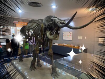 1月20日 ♪toiro金沢文庫♪3 6eecaae4318fc3af9b531025945c5a28 2 400x300 - 1月20日 ♪toiro金沢文庫♪3