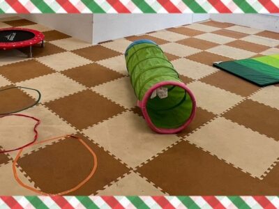 8cf44770245b867683a0e218dd58eb8c 2 400x300 - ☆toiro大船 2月15日（水）サーキット運動☆