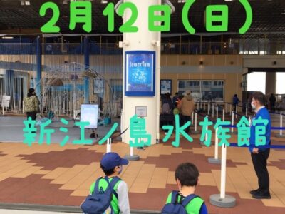 d2e900ea118f73d9b2320e05c26f5b9e 2 400x300 - 2月12日(日)toiro秦野☆新江ノ島水族館