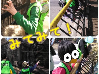 2023年2月21日(火) toiro白楽 fe1fad29ce2bef6b632f47713d631f19 3 400x300 - 2023年2月21日(火) toiro白楽