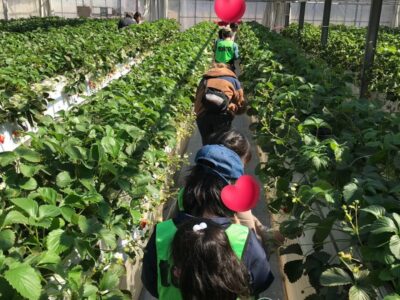 toiroいずみ中央☀️2023/03/03 32ef3eaa778356a651e13ad05465202c 400x300 - toiroいずみ中央☀️2023/03/03