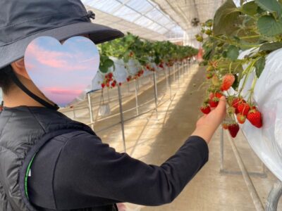 3月13日●toiro大倉山● fb70142054ef001e3036e2c8c0fec1f5 1 400x300 - 3月13日●toiro大倉山●