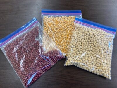 toiroいずみ中央☀️2023/3/19 izumi 400x300 - toiroいずみ中央☀️2023/3/19