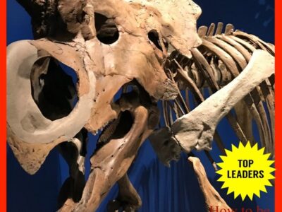 nakamati 400x300 - 国立科学博物館へ行こう★toiro仲町台★