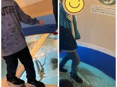 3月31日toiroかしわ台☆相模原ふれあい科学館に行こう!☆ kasi 400x300 - 3月31日toiroかしわ台☆相模原ふれあい科学館に行こう!☆