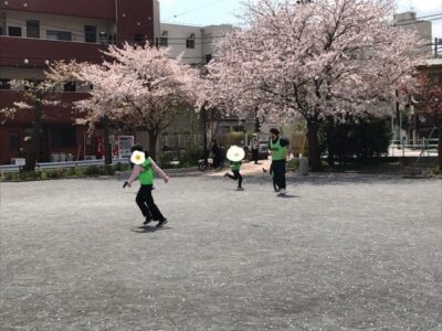 negi 400x300 - 4月1日　公園でのお花見　☆toiro根岸☆