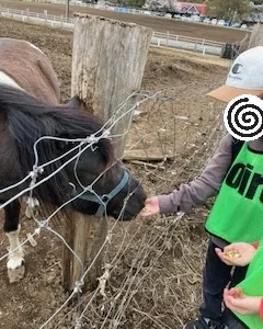 4月21日(金)toiro伊勢原 服部牧場に行きました! t 11 240x300 - 4月21日(金)toiro伊勢原 服部牧場に行きました!