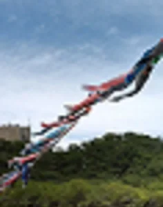 5月14日 ★toiro伊勢原★鯉のぼりを見に行こう t 16 236x300 - 5月14日 ★toiro伊勢原★鯉のぼりを見に行こう