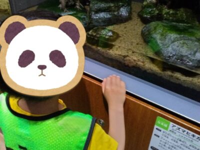 t 180 400x300 - ５月21日（日）　『アクアリウム相模原』in toiro辻堂