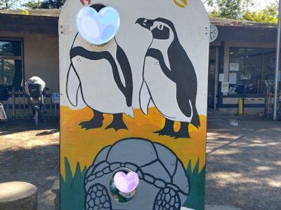 t 59 400x300 - ☆toiro鶴見☆夢見ヶ先動物公園