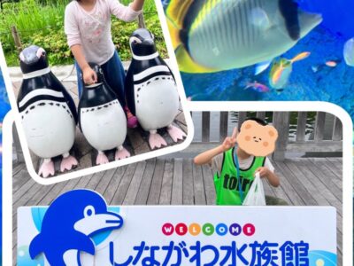 t 150 400x300 - ☆ 6月11日(日) toiro二俣川 vol.95 ☆