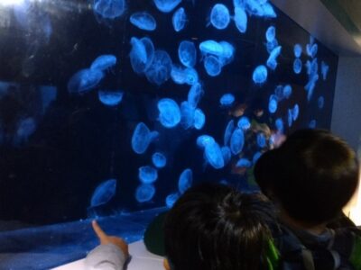 t 69 400x300 - toiro都筑ふれあいの丘★都筑ッズDAY★