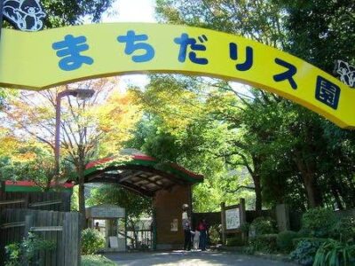 2023/7/21☆toiro百合ヶ丘☆町田リス園☆ t 163 400x300 - 2023/7/21☆toiro百合ヶ丘☆町田リス園☆