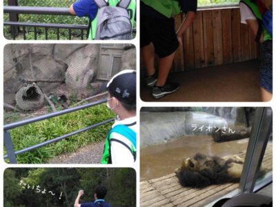 ♪toiro白楽♪【ズーラシア】2023年07月27日(木) t 215 400x300 - ♪toiro白楽♪【ズーラシア】2023年07月27日(木)