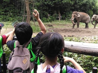 ♫7月7日 toiro鴨居 よこはま動物園ズーラシア♫ t 40 400x300 - ♫7月7日 toiro鴨居 よこはま動物園ズーラシア♫