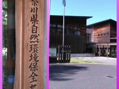 8月17日(木) ☆toiro本厚木☆ t 125 400x300 - 8月17日(木) ☆toiro本厚木☆