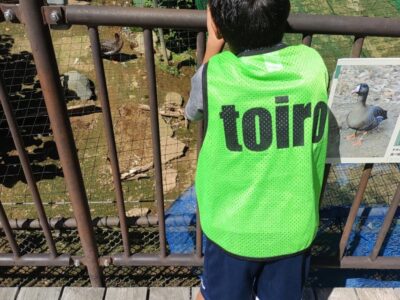 t 189 400x300 - toiroすすき野☆多摩動物公園☆