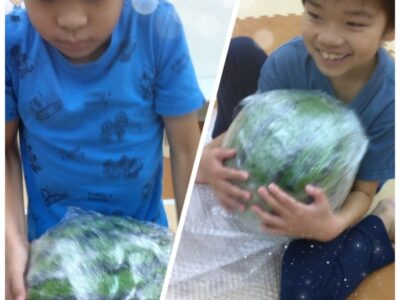 t 224 400x300 - ☆8月27日(日)　toiro天王町☆　【スイカ割り&水遊び】￼