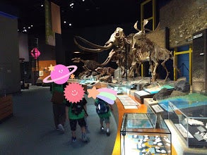 t 239 - 8月26日toiro逗子☆生命の星地球博物館へ行こう！