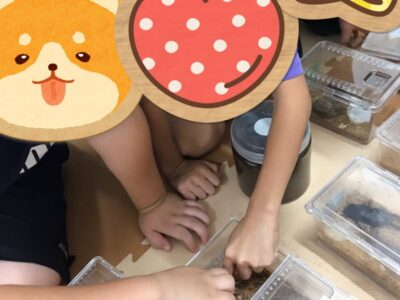 toiro都筑ふれあいの丘★カブトムシたちとのふれあい★ t 13 400x300 - toiro都筑ふれあいの丘★カブトムシたちとのふれあい★