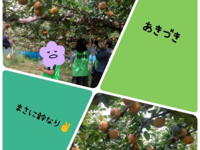 9月3日(日)☆toiro根岸☆ 梨狩りに行こう! t 46 400x300 - 9月3日(日)☆toiro根岸☆ 梨狩りに行こう!